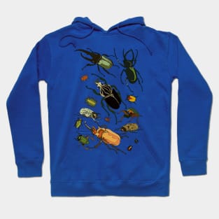 Beetle-mania! Hoodie